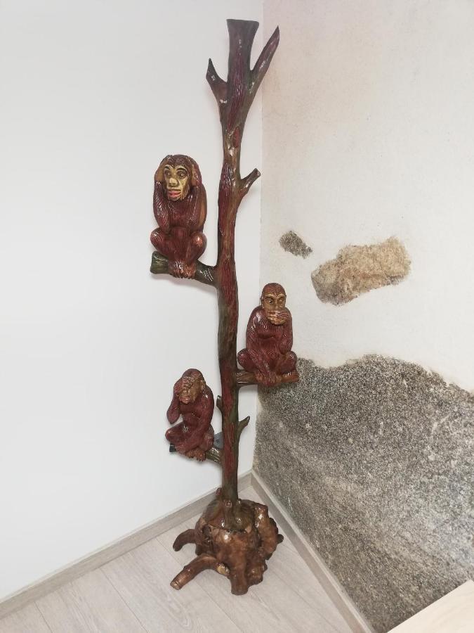 Los Tres Monos Ávila Luaran gambar